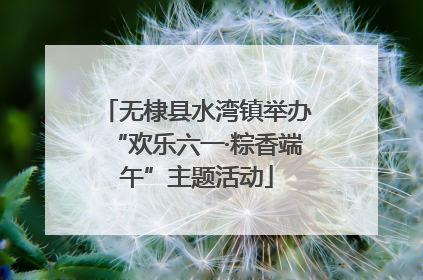无棣县水湾镇举办“欢乐六一·粽香端午”主题活动