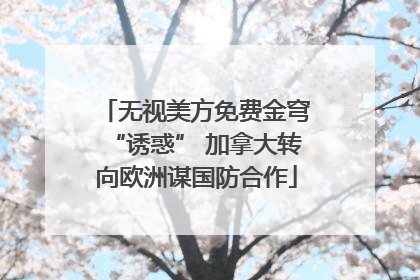 无视美方免费金穹“诱惑” 加拿大转向欧洲谋国防合作