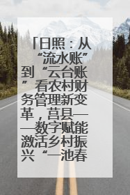 日照：从“流水账”到“云台账”看农村财务管理新变革，莒县——数字赋能激活乡村振兴“一池春水”