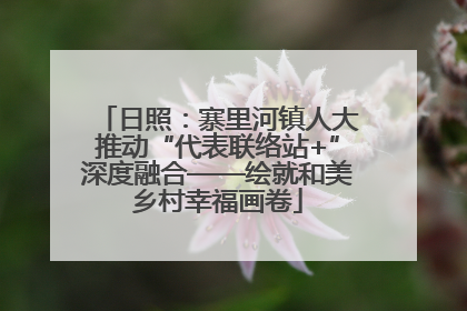 日照：寨里河镇人大推动“代表联络站+”深度融合——绘就和美乡村幸福画卷