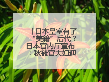 日本皇室有了“美籍”后代？日本宫内厅宣布：秋筱宫夫妇迎来首个孙辈