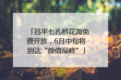 昌平七孔桥花海免费开放，6月中旬将到达“颜值巅峰”