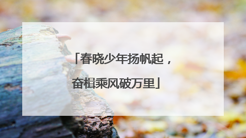 春晓少年扬帆起，奋楫乘风破万里