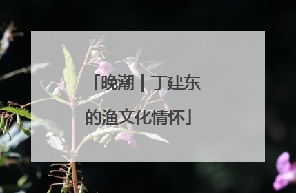 晚潮｜丁建东的渔文化情怀