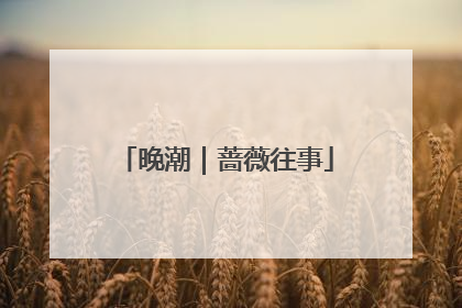 晚潮｜蔷薇往事