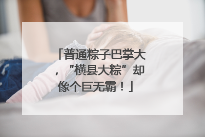 普通粽子巴掌大，“横县大粽”却像个巨无霸！