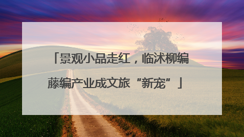 景观小品走红，临沭柳编藤编产业成文旅“新宠”