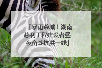 暴雨袭城！湖南慈利工程建设者昼夜奋战抗洪一线