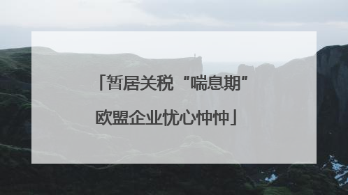 暂居关税“喘息期” 欧盟企业忧心忡忡