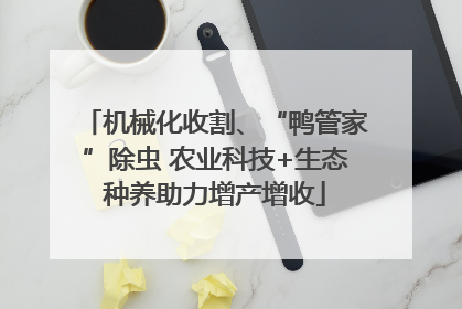 机械化收割、“鸭管家”除虫 农业科技+生态种养助力增产增收