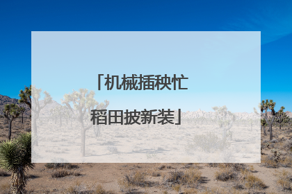 机械插秧忙 稻田披新装