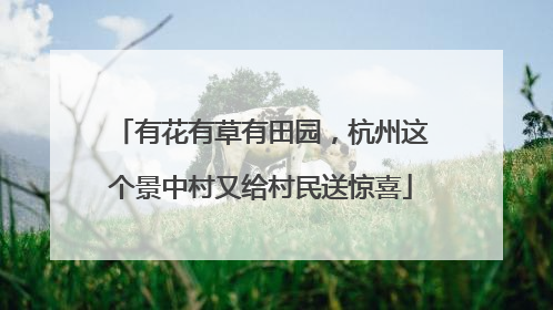 有花有草有田园，杭州这个景中村又给村民送惊喜