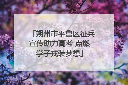 朔州市平鲁区征兵宣传助力高考 点燃学子戎装梦想
