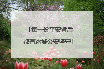 每一份平安背后 都有冰城公安坚守