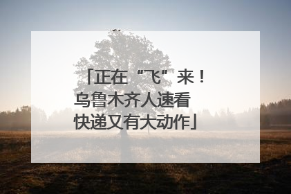 正在“飞”来！乌鲁木齐人速看 快递又有大动作