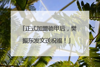 正式加盟德甲后，樊振东发文送祝福！