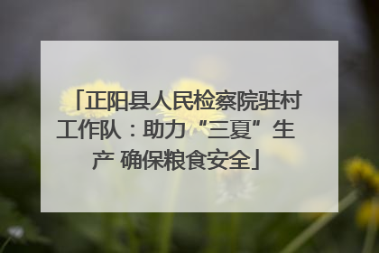 正阳县人民检察院驻村工作队：助力“三夏”生产 确保粮食安全