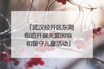 武汉经开区东荆街道开展关爱困境和留守儿童活动