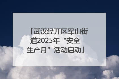 武汉经开区军山街道2025年“安全生产月”活动启动