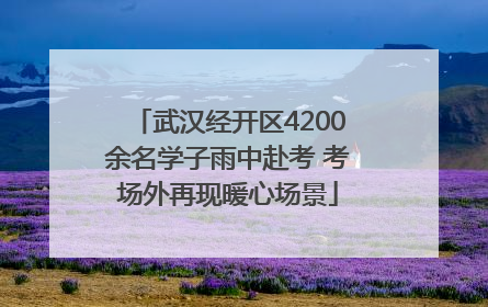 武汉经开区4200余名学子雨中赴考 考场外再现暖心场景
