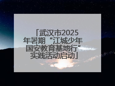 武汉市2025年暑期“江城少年国安教育基地行” 实践活动启动