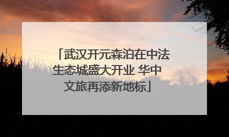 武汉开元森泊在中法生态城盛大开业 华中文旅再添新地标