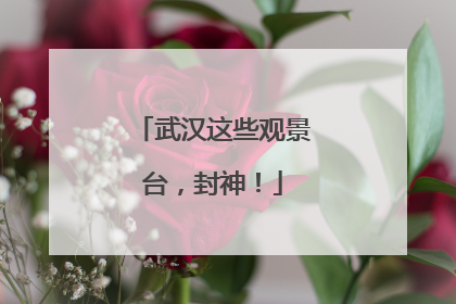 武汉这些观景台，封神！
