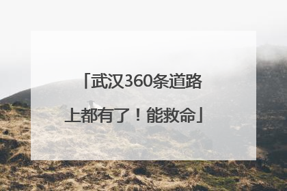 武汉360条道路上都有了！能救命