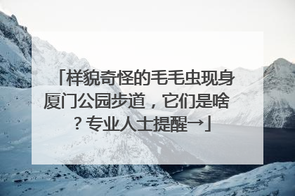样貌奇怪的毛毛虫现身厦门公园步道，它们是啥？专业人士提醒→