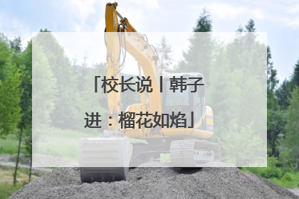 校长说丨韩子进：榴花如焰