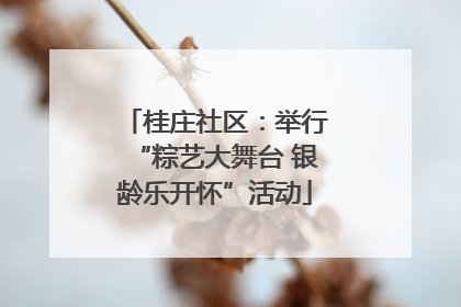桂庄社区：举行“粽艺大舞台 银龄乐开怀”活动