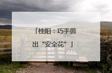 桂阳：巧手剪出“安全花”