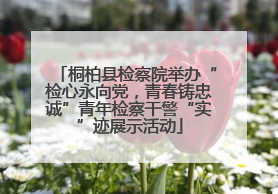 桐柏县检察院举办“检心永向党，青春铸忠诚”青年检察干警“实”迹展示活动