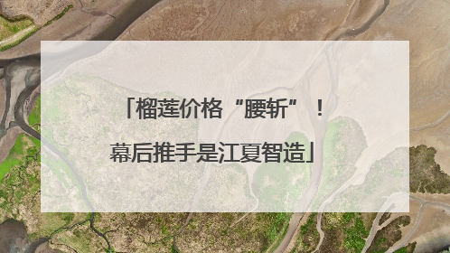 榴莲价格“腰斩”！幕后推手是江夏智造