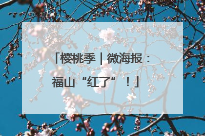 樱桃季｜微海报：福山“红了”！