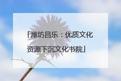 潍坊昌乐：优质文化资源下沉文化书院