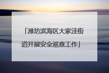 潍坊滨海区大家洼街道开展安全巡查工作