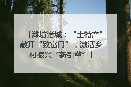 潍坊诸城：“土特产”敲开“致富门”，激活乡村振兴“新引擎”