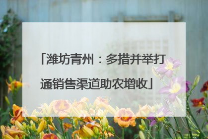 潍坊青州：多措并举打通销售渠道助农增收