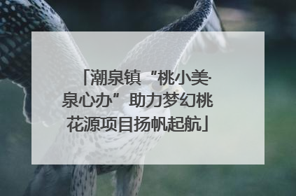 潮泉镇“桃小美·泉心办”助力梦幻桃花源项目扬帆起航