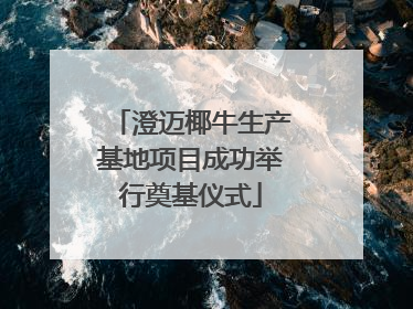 澄迈椰牛生产基地项目成功举行奠基仪式