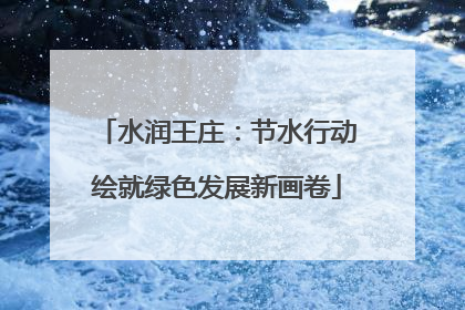 水润王庄：节水行动绘就绿色发展新画卷