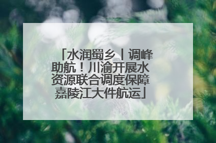 水润蜀乡丨调峰助航！川渝开展水资源联合调度保障嘉陵江大件航运