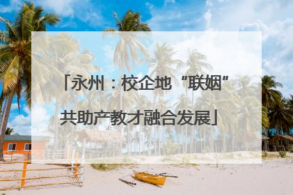 永州：校企地“联姻” 共助产教才融合发展