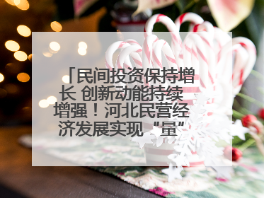 民间投资保持增长 创新动能持续增强！河北民营经济发展实现“量”“质”双提升