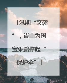 汛期“突袭”，崀山为国宝朱鹮撑起“保护伞”