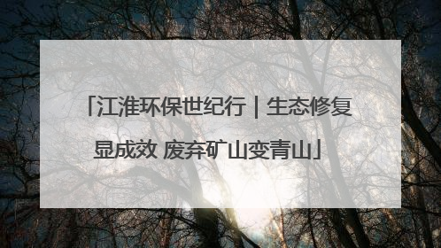 江淮环保世纪行｜生态修复显成效 废弃矿山变青山