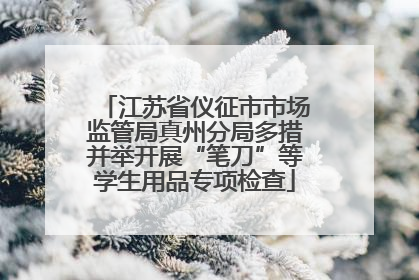 江苏省仪征市市场监管局真州分局多措并举开展“笔刀”等学生用品专项检查