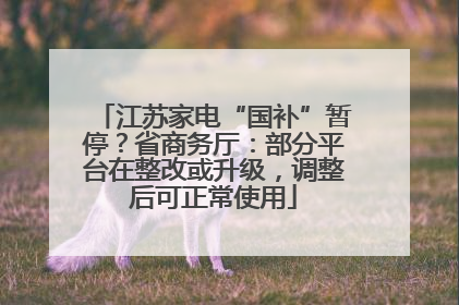 江苏家电“国补”暂停？省商务厅：部分平台在整改或升级，调整后可正常使用