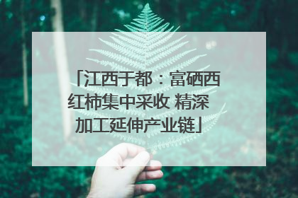江西于都：富硒西红柿集中采收 精深加工延伸产业链